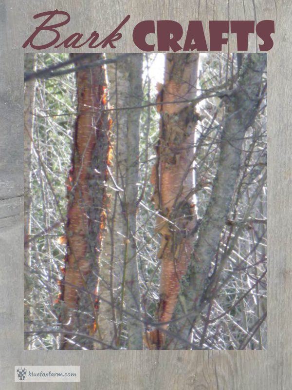 Bark Crafts using wild materials for primitive rustic crafts