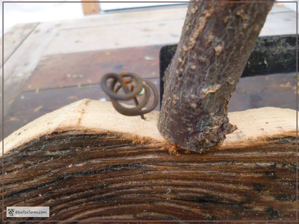 Wire Tendrils are the final accent on the Barnboard Pumpkin