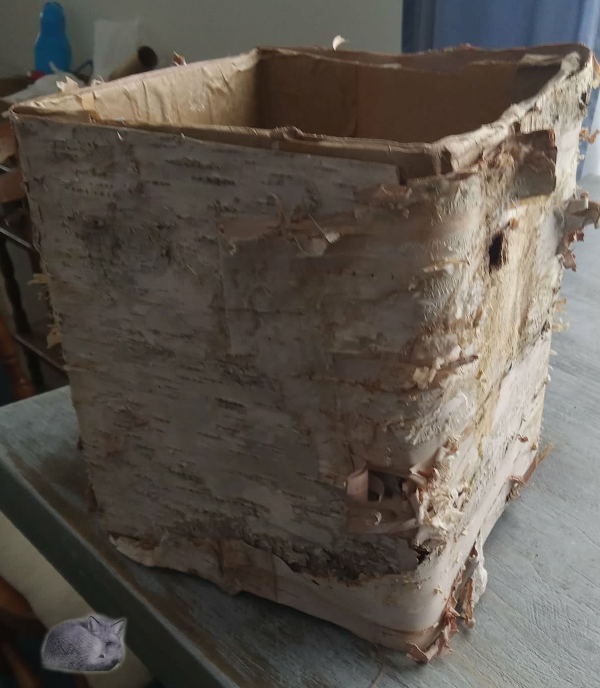 best-glue-for-crafts-birchbark-box600.jpg