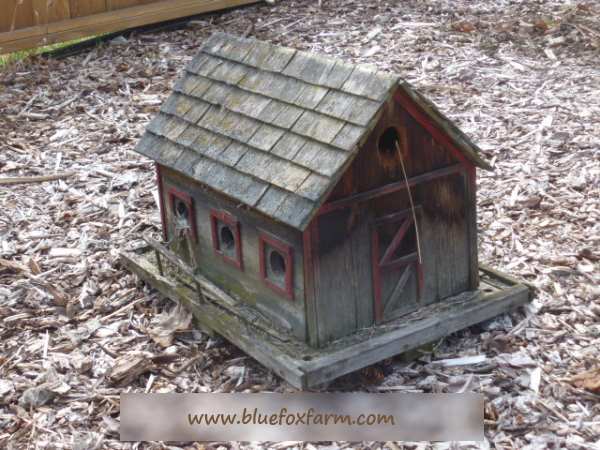 Communal bird house with several apartments