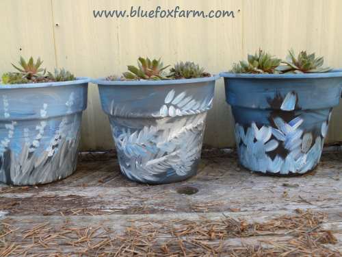 A collection of blue planters; perfect to display Sempervivum in blue shades