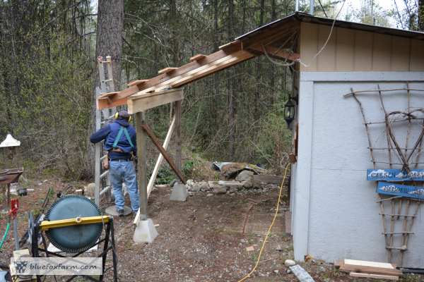 Breezeway Studio roof