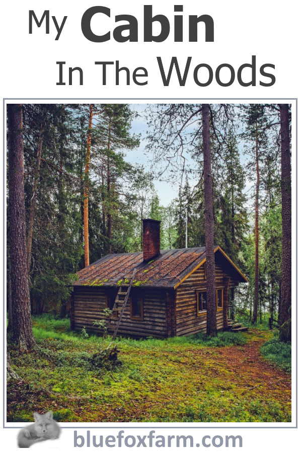 cabin-in-the-woods600x900.jpg