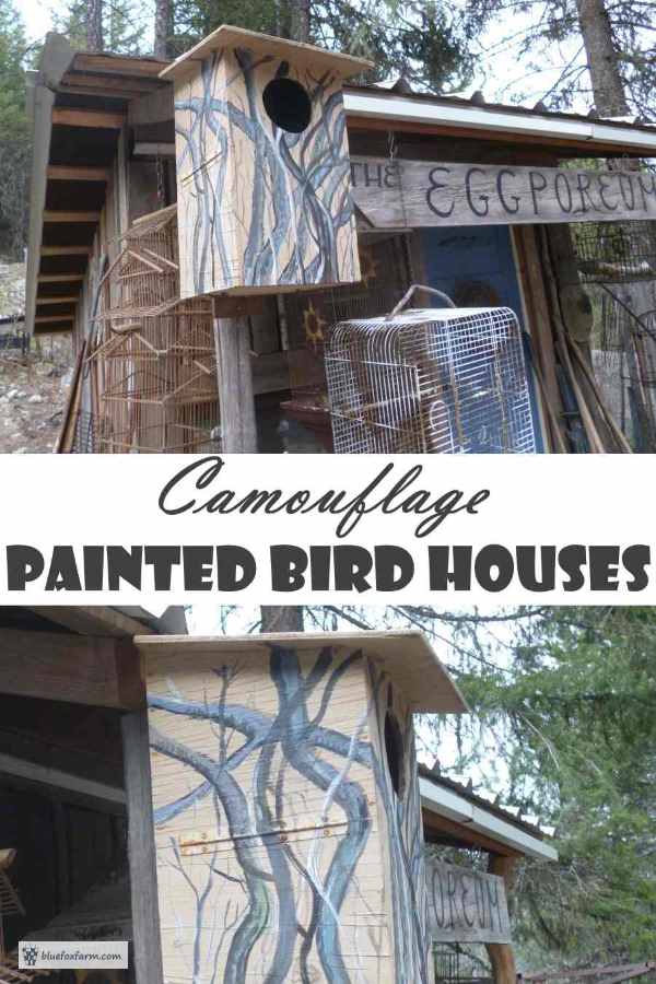 Camouflage Painted Bird Houses