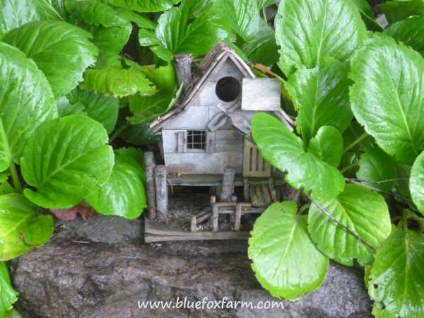 And this little rustic log bird house nestles among the plants