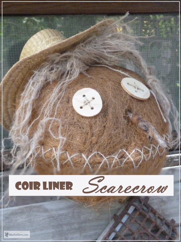 Coir Liner Scarecrow