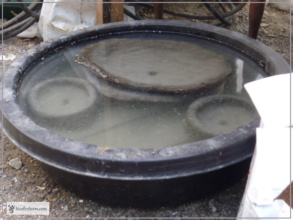 Curing Hypertufa in a water bath