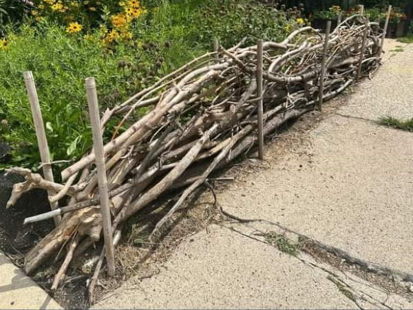 dead-hedge-600x450.jpg