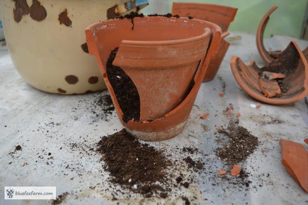 Make your own clay pot fairy garden
