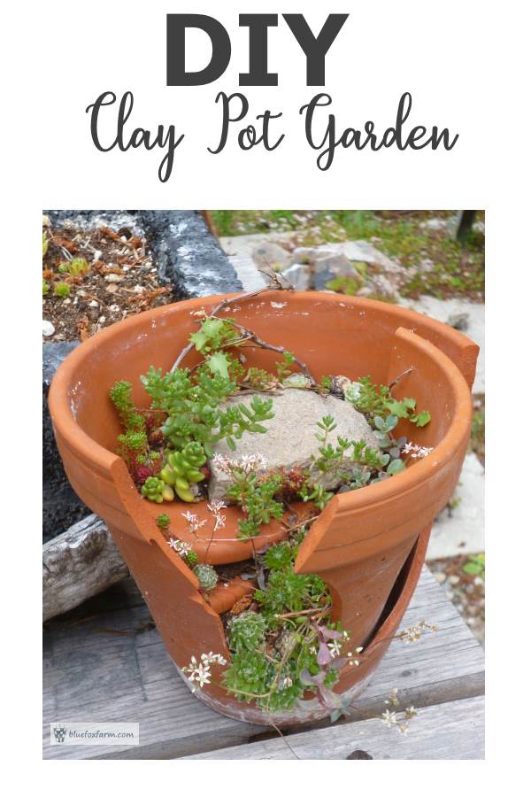 DIY Clay Pot Garden