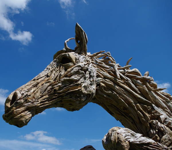 Driftwood Horse - detail of head