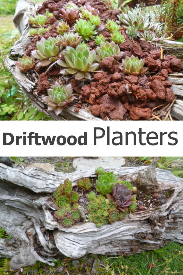 driftwood-planters600x900.jpg