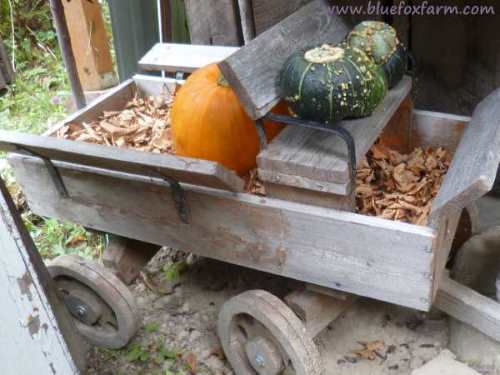 Kids wagon driven by squash...