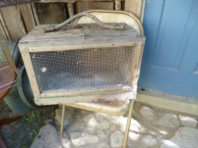 The broody hen box - yes, this was used for the hen to have a quiet place to hide while hatching eggs...