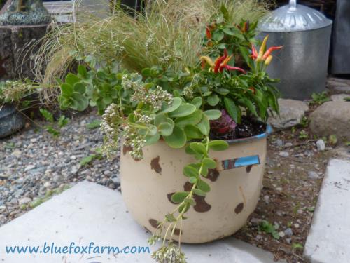 Enamel buckets are always a good choice...