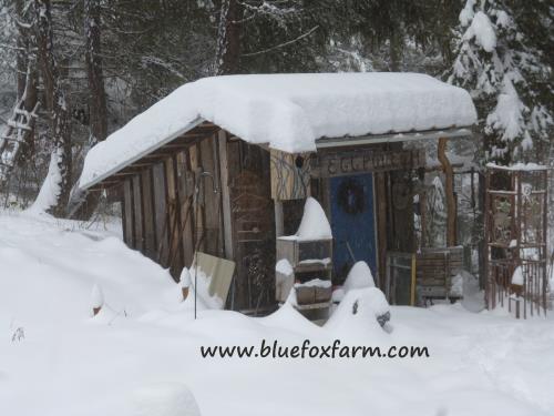 Winter at Blue Fox Farm