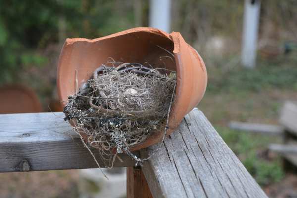 Faux Birds Nest in a Terracotta Pot