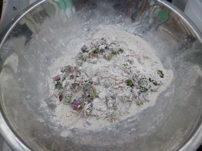 Sempervivum chicks dredged in diatomaceous earth...