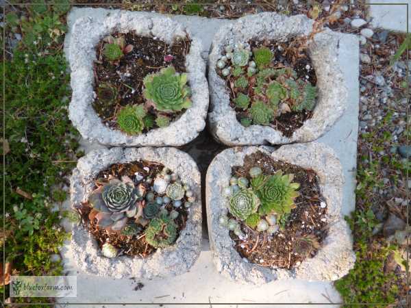 Four hypertufa pots grouped together