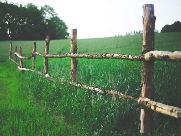 Post and rail fence