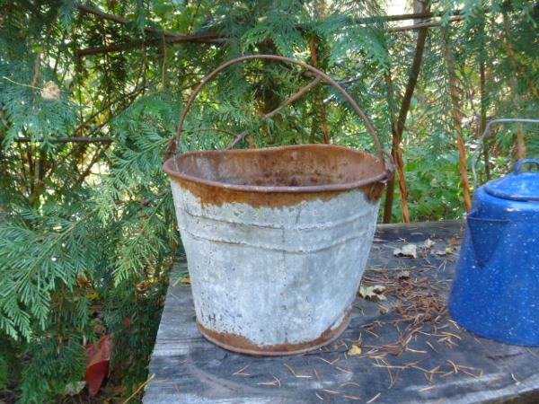 Rusty Galvanized Bucket