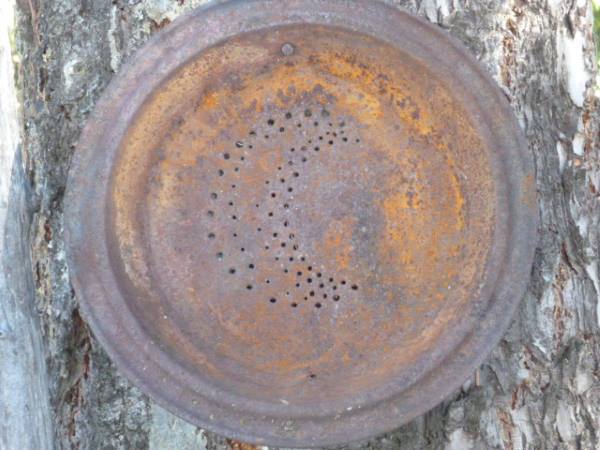 Tin Pie Plate