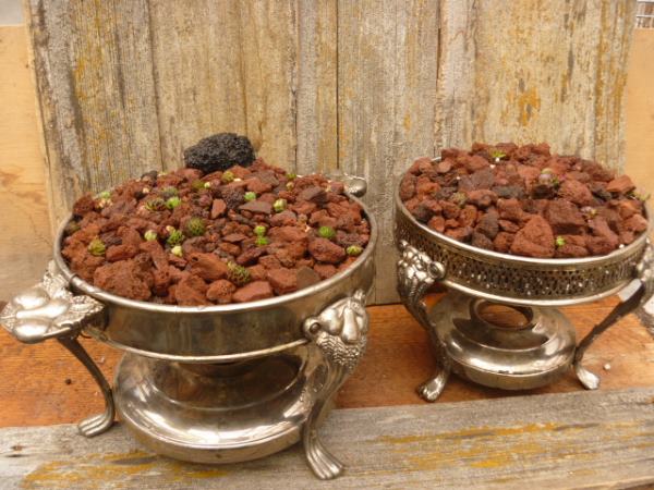 Chafing Dishes