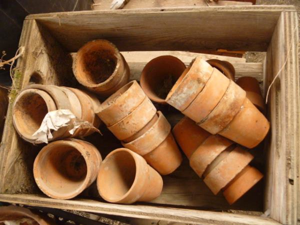 Vintage Terracotta Clay Pots