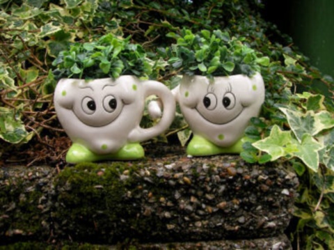 The Gardening Cook has some funny garden faces to share here...