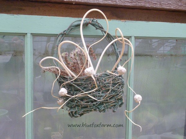 Fantastical twirls and curls give a romantic look to a little rustic basket...