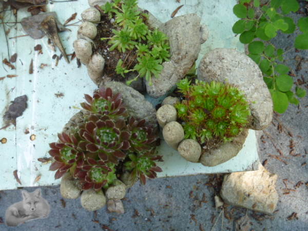 Top View of a Handful of Hypertufa Hands