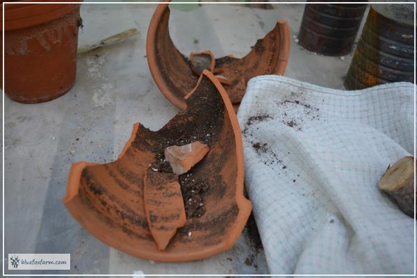 How to Break a Clay Pot for a Fairy Garden