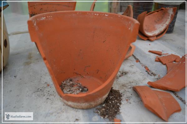 How to Break a Clay Pot for a Fairy Garden