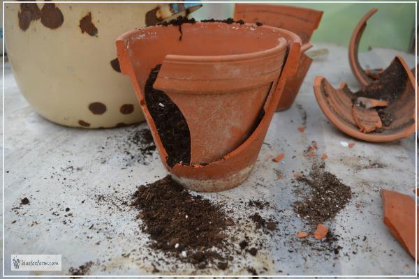 Reassembling the broken terracotta clay pot for a fairy garden