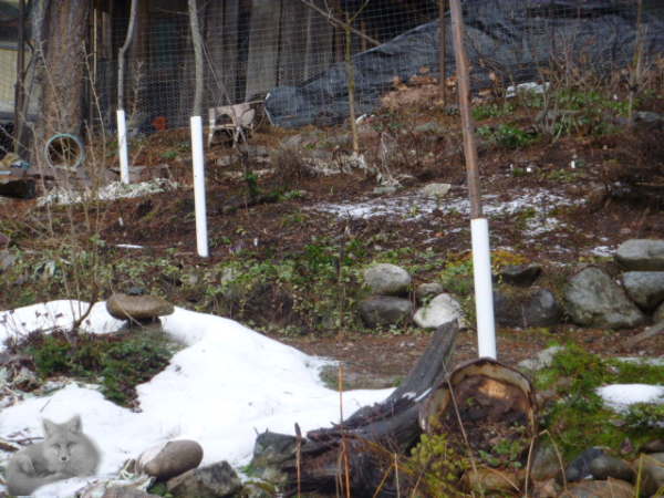 How to Build a Twig Fence - use those branches and twigs