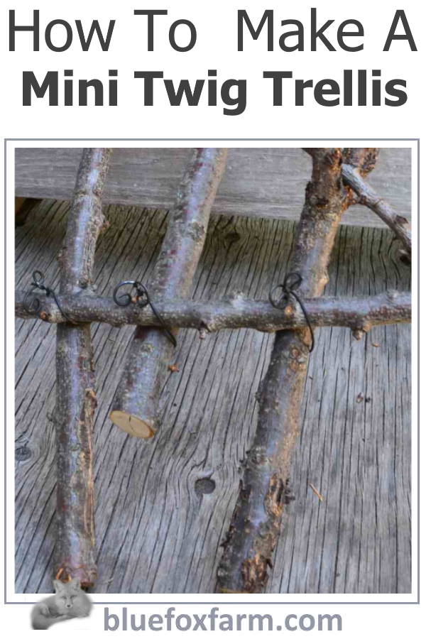 how-to-make-a-mini-twig-trellis-600x900.jpg