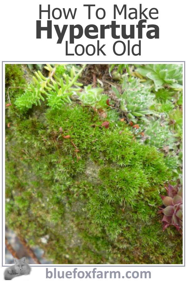 A rustic garden art tutorial...How to Make Hypertufa Look Old
