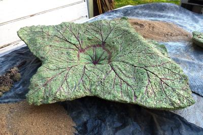 Birdbath using rhubarb leaves and painted with acrylic paint