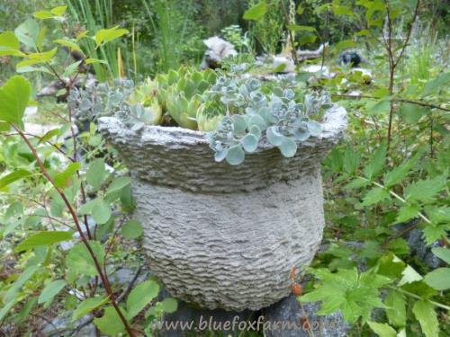 Just like the basket used for its mold, this basket hypertufa looks like its name