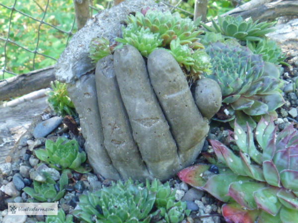 The Original Hypertufa Hands