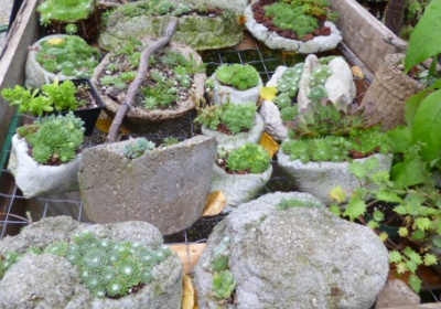 Hypertufa Pots, Crags, Fissures, Baskets and Strata Planters