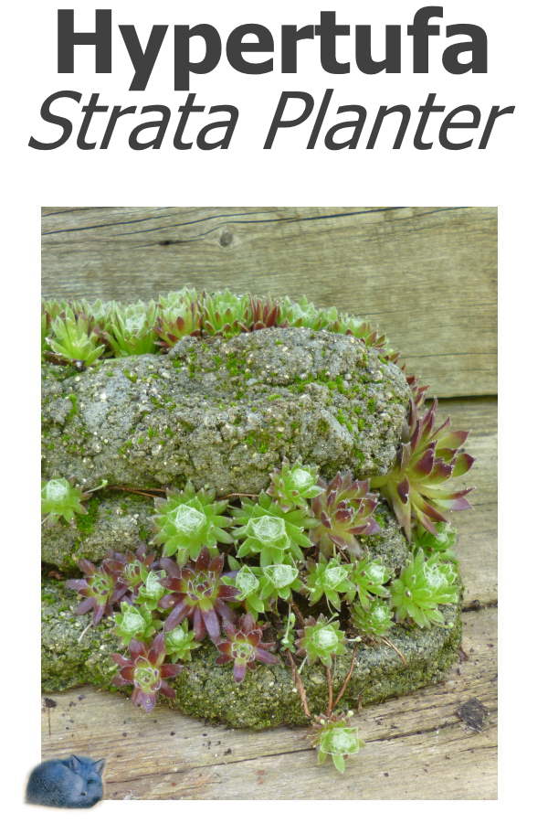 Hypertufa Strata Planter, brimming over with Sempervivum