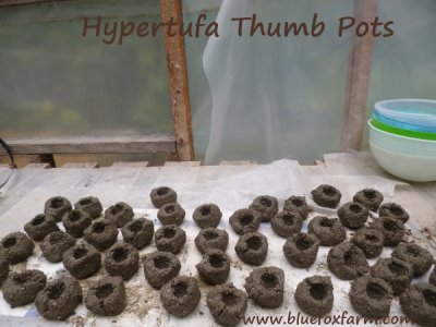 Hypertufa Thumb Pots - add a spoonful of soil, and a little Sempervivum or two...