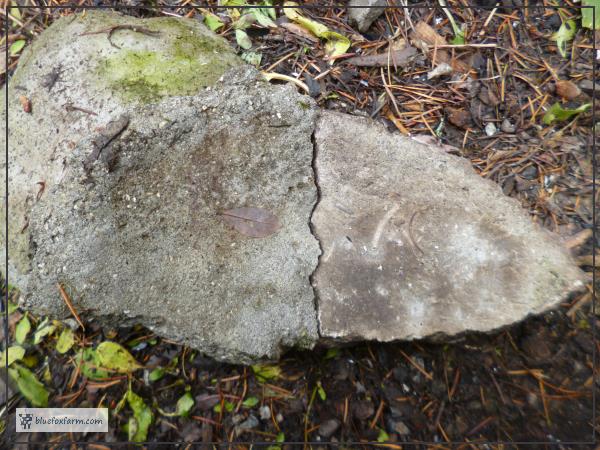 They're identical - both pieces of the broken hypertufa pot are the same...