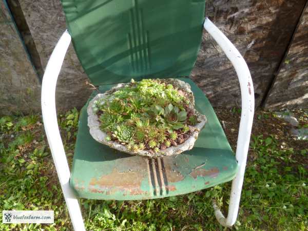 Like this chair - it's old, metal and rusty - ahh, perfect!