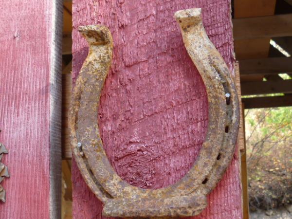 Vintage Horse Shoes