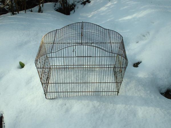 Vintage Bird Cage