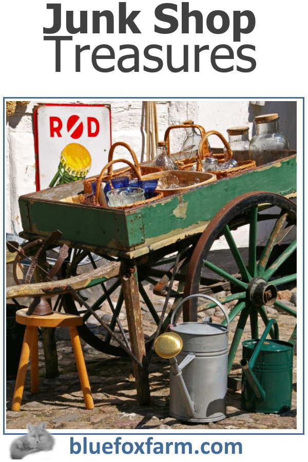 junk-shop-treasures600x900.jpg