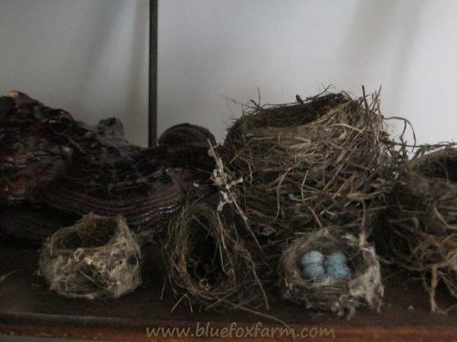 Kate's lovely selection of beautiful nests...