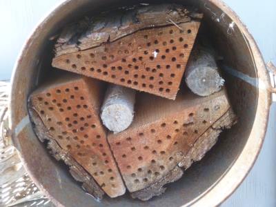 Chunks of cedar, drilled with many holes